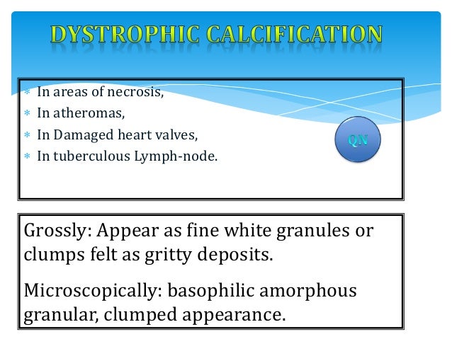 4 adaptation of mechanisms cellular mdzah cellular sinhasan adaptations 4. sp 4 adaptation of mechanisms cellular mdzah cellular sinhasan adaptations 4. sp