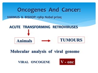 4-molecular-basis-of-cancer-dr-sinhasan-mdzah-pptx