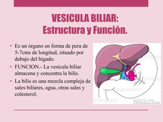 VESICULA BILIAR:
Estructura y Función.
• Es un órgano en forma de pera de
5-7cms de longitud, situado por
debajo del hígado.
• FUNCION.- La vesícula biliar
almacena y concentra la bilis.
• La bilis es una mezcla compleja de
sales biliares, agua, otras sales y
colesterol.
 