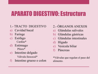APARATO DIGESTIVO: Estructura
1.- TRACTO DIGESTIVO
a) Cavidad bucal
b) Faringe
c) Esófago
Cardias*
d) Estómago
Píloro*
e) Intestino delgado
Válvula íleocecal*
f) Intestino grueso o colon
2.- ÓRGANOS ANEXOS
a) Glándulas salivales
b) Glándulas gástricas
c) Glándulas intestinales
d) Hígado
e) Vesícula biliar
f) Páncreas
*Válvulas que regulan el paso del
alimento.
 