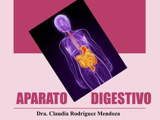 APARATO DIGESTIVO
Dra. Claudia Rodríguez Mendoza
 