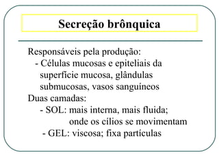 Secreção brônquica
Responsáveis pela produção:
- Células mucosas e epiteliais da
superfície mucosa, glândulas
submucosas, vasos sanguíneos
Duas camadas:
- SOL: mais interna, mais fluida;
onde os cílios se movimentam
- GEL: viscosa; fixa partículas
 