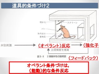 道具的条件づけ２
（オペラント）反応 （強化子）
（フィードバック）
オペラント条件づけは，
（能動）的な条件反応
 