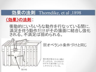 効果の法則 Thorndike, et al ,1898
（効果）の法則：
衝動的にいろいろな動作を行なっている間に，
満足を伴う動作だけがその場面に結合し強化
される。不満足は弱められる。
※オペラント条件づけと同じ
 
