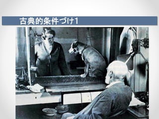古典的条件づけ１
 