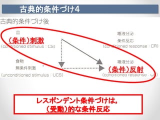 古典的条件づけ４
（条件）刺激
（条件）反射
レスポンデント条件づけは，
（受動）的な条件反応
 