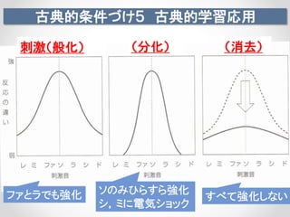 古典的条件づけ５ 古典的学習応用
刺激（般化） （分化） （消去）
ファとラでも強化 ソのみひらすら強化
シ，ミに電気ショック
すべて強化しない
 