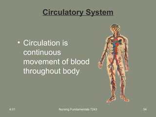 Nursing Fundamentals 7243 54
Circulatory System
• Circulation is
continuous
movement of blood
throughout body
4.01
 