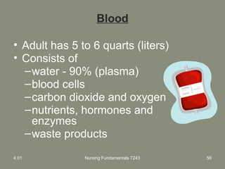 Nursing Fundamentals 7243 56
Blood
• Adult has 5 to 6 quarts (liters)
• Consists of
–water - 90% (plasma)
–blood cells
–carbon dioxide and oxygen
–nutrients, hormones and
enzymes
–waste products
4.01
 
