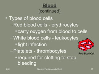 Nursing Fundamentals 7243 57
Blood
(continued)
• Types of blood cells
–Red blood cells - erythrocytes
•carry oxygen from blood to cells
–White blood cells - leukocytes
•fight infection
–Platelets - thrombocytes
•required for clotting to stop
bleeding
4.01
 
