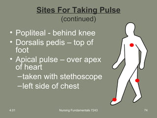 Sites For Taking Pulse
(continued)
• Popliteal - behind knee
• Dorsalis pedis – top of
foot
• Apical pulse – over apex
of heart
–taken with stethoscope
–left side of chest
4.01 Nursing Fundamentals 7243 74
 