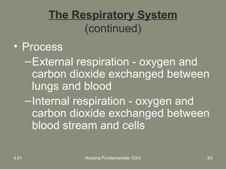 Nursing Fundamentals 7243 83
The Respiratory System
(continued)
• Process
–External respiration - oxygen and
carbon dioxide exchanged between
lungs and blood
–Internal respiration - oxygen and
carbon dioxide exchanged between
blood stream and cells
4.01
 