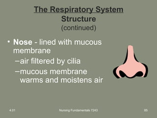 Nursing Fundamentals 7243 85
The Respiratory System
Structure
(continued)
• Nose - lined with mucous
membrane
–air filtered by cilia
–mucous membrane
warms and moistens air
4.01
 