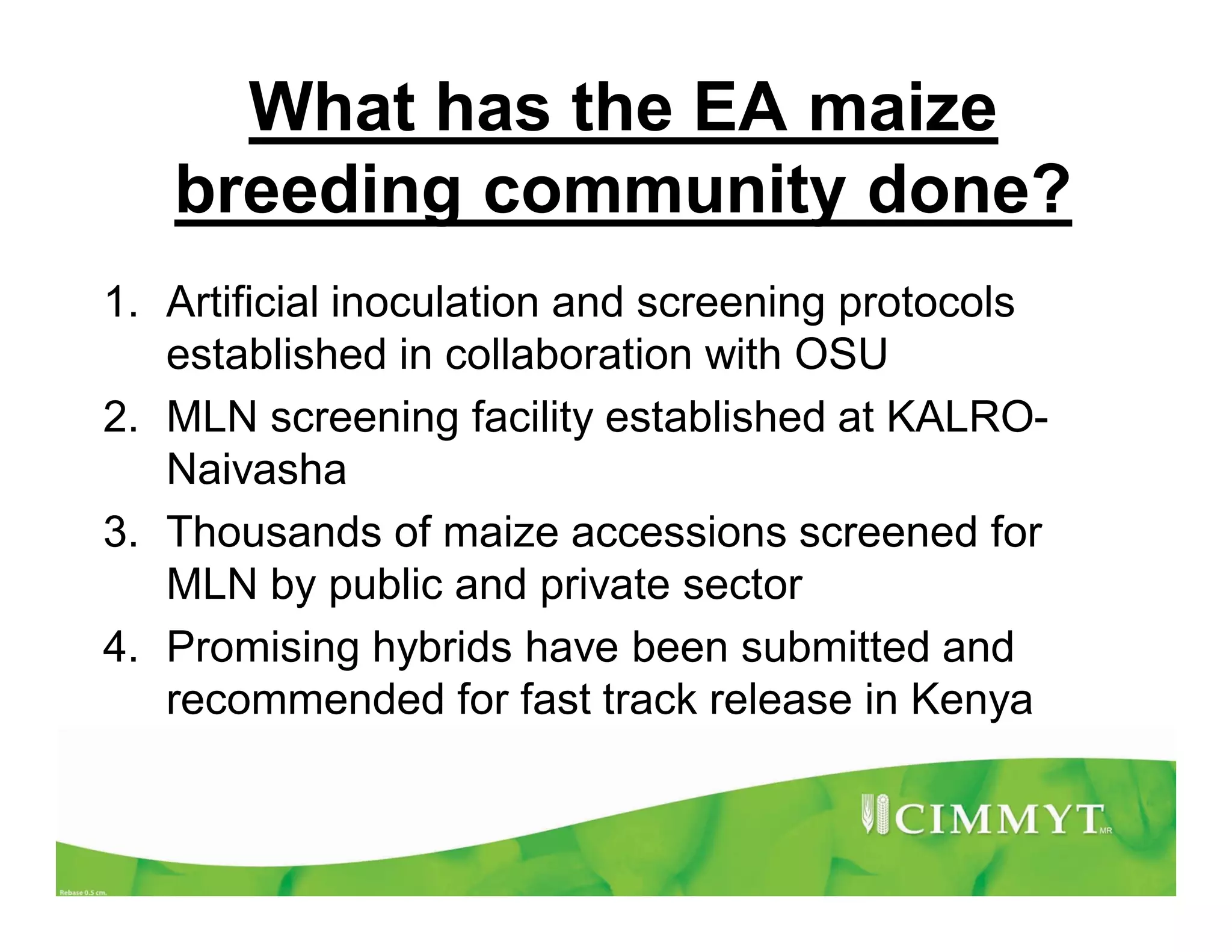 What has the EA maize
breeding community done?
1. Artificial inoculation and screening protocols
established in collaboration with OSU
2. MLN screening facility established at KALRO-
Naivasha
3. Thousands of maize accessions screened for
MLN by public and private sector
4. Promising hybrids have been submitted and
recommended for fast track release in Kenya
 