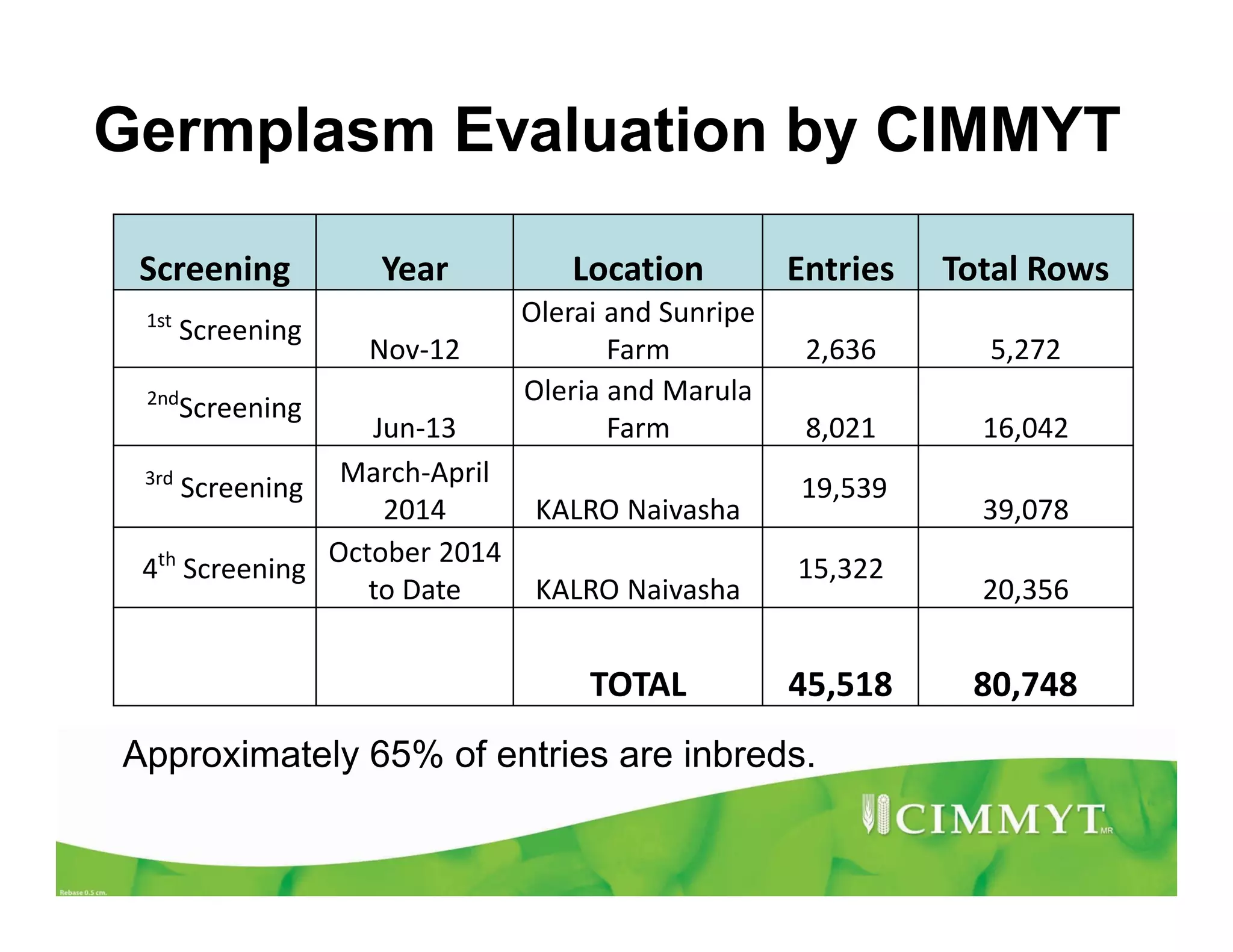 Germplasm Evaluation by CIMMYT
Screening Year Location Entries Total Rows
1st
Screening
Nov-12
Olerai and Sunripe
Farm 2,636 5,272
2nd
Screening
Jun-13
Oleria and Marula
Farm 8,021 16,042
3rd
Screening March-April
2014 KALRO Naivasha
19,539
39,078
4th
Screening
October 2014
to Date KALRO Naivasha
15,322
20,356
TOTAL 45,518 80,748
Approximately 65% of entries are inbreds.
 