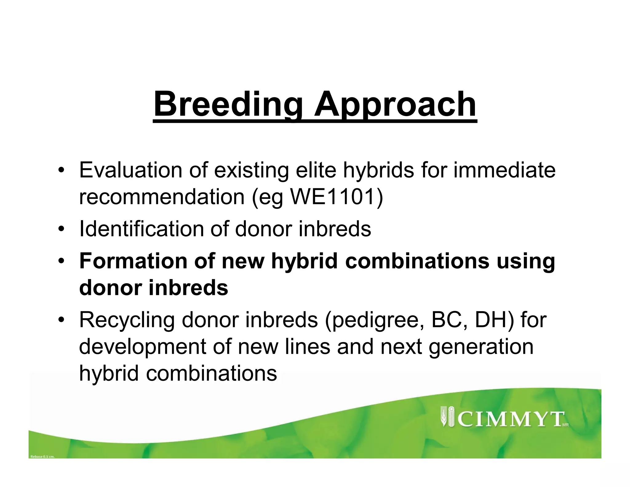 Breeding Approach
• Evaluation of existing elite hybrids for immediate
recommendation (eg WE1101)
• Identification of donor inbreds
• Formation of new hybrid combinations using
donor inbreds
• Recycling donor inbreds (pedigree, BC, DH) for
development of new lines and next generation
hybrid combinations
 