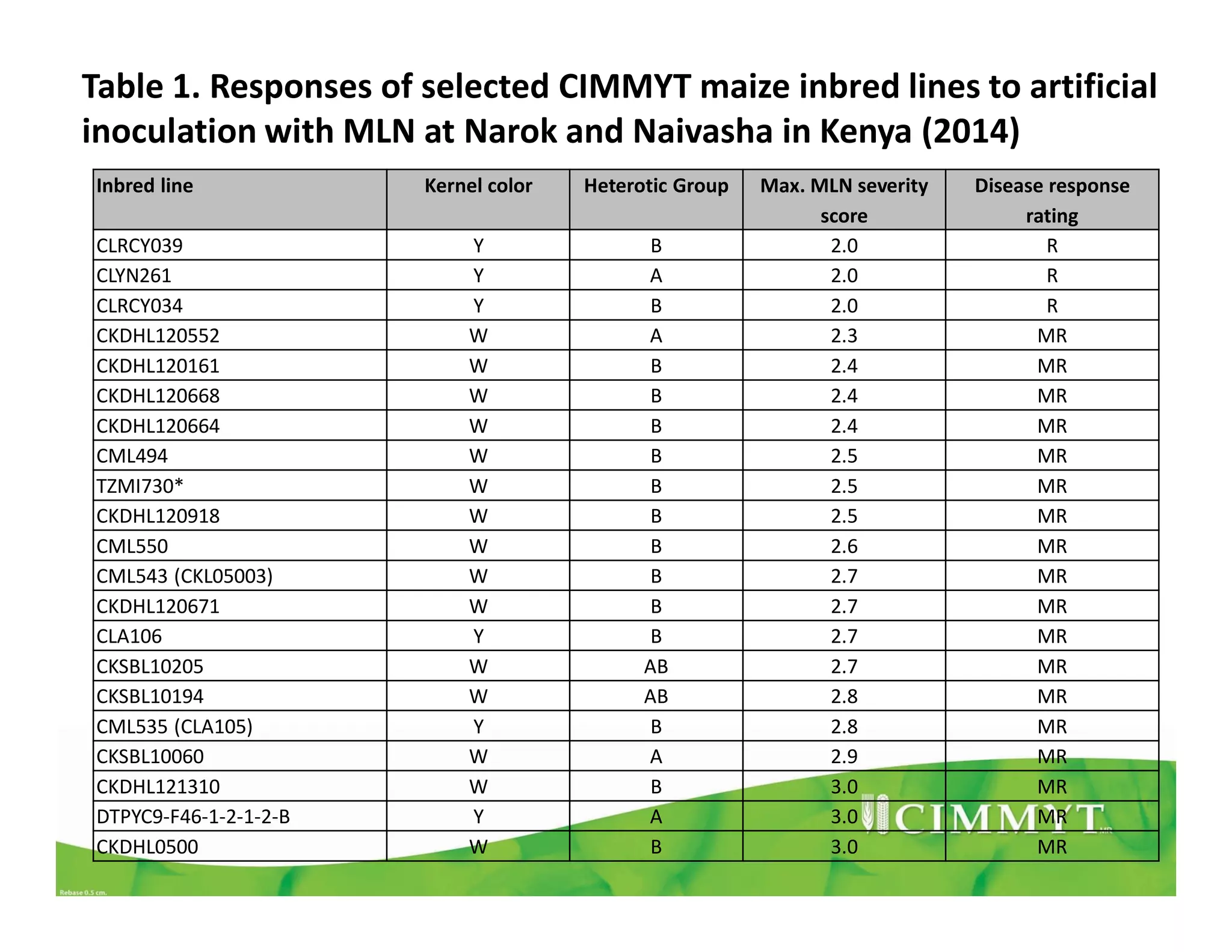 Inbred line Kernel color Heterotic Group Max. MLN severity
score
Disease response
rating
CLRCY039 Y B 2.0 R
CLYN261 Y A 2.0 R
CLRCY034 Y B 2.0 R
CKDHL120552 W A 2.3 MR
CKDHL120161 W B 2.4 MR
CKDHL120668 W B 2.4 MR
CKDHL120664 W B 2.4 MR
CML494 W B 2.5 MR
TZMI730* W B 2.5 MR
CKDHL120918 W B 2.5 MR
CML550 W B 2.6 MR
CML543 (CKL05003) W B 2.7 MR
CKDHL120671 W B 2.7 MR
CLA106 Y B 2.7 MR
CKSBL10205 W AB 2.7 MR
CKSBL10194 W AB 2.8 MR
CML535 (CLA105) Y B 2.8 MR
CKSBL10060 W A 2.9 MR
CKDHL121310 W B 3.0 MR
DTPYC9-F46-1-2-1-2-B Y A 3.0 MR
CKDHL0500 W B 3.0 MR
Table 1. Responses of selected CIMMYT maize inbred lines to artificial
inoculation with MLN at Narok and Naivasha in Kenya (2014)
 
