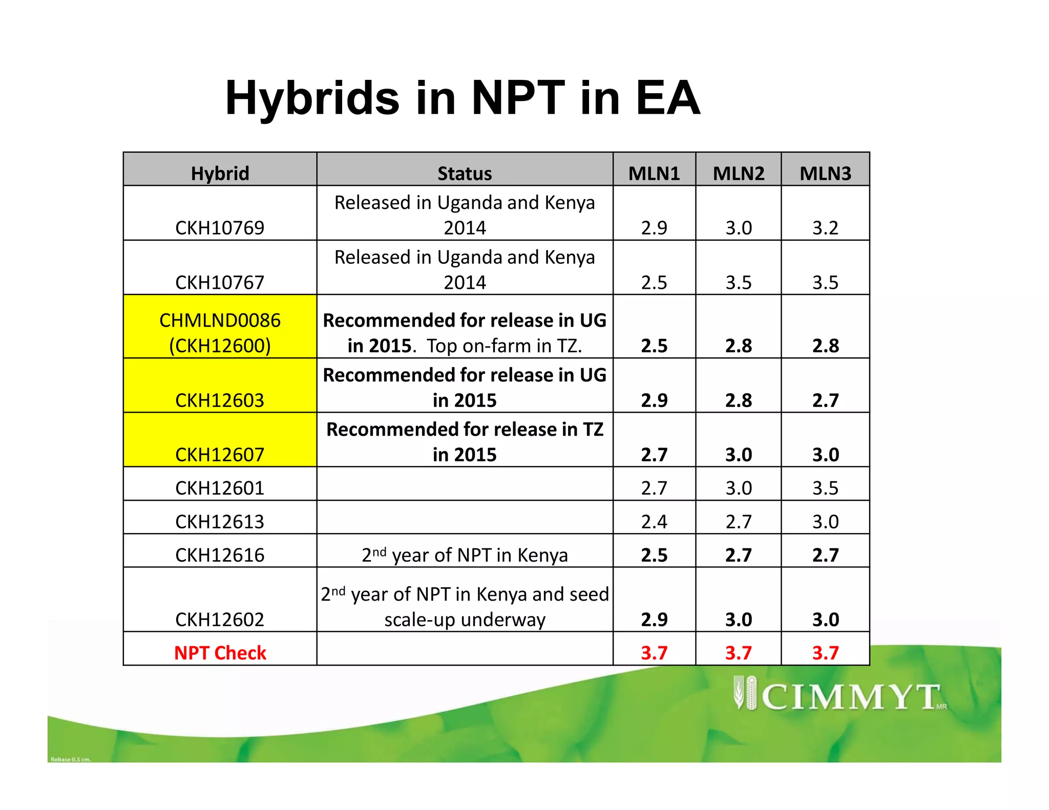 Hybrid Status MLN1 MLN2 MLN3
CKH10769
Released in Uganda and Kenya
2014 2.9 3.0 3.2
CKH10767
Released in Uganda and Kenya
2014 2.5 3.5 3.5
CHMLND0086
(CKH12600)
Recommended for release in UG
in 2015. Top on-farm in TZ. 2.5 2.8 2.8
CKH12603
Recommended for release in UG
in 2015 2.9 2.8 2.7
CKH12607
Recommended for release in TZ
in 2015 2.7 3.0 3.0
CKH12601 2.7 3.0 3.5
CKH12613 2.4 2.7 3.0
CKH12616 2nd year of NPT in Kenya 2.5 2.7 2.7
CKH12602
2nd year of NPT in Kenya and seed
scale-up underway 2.9 3.0 3.0
NPT Check 3.7 3.7 3.7
Hybrids in NPT in EA
 