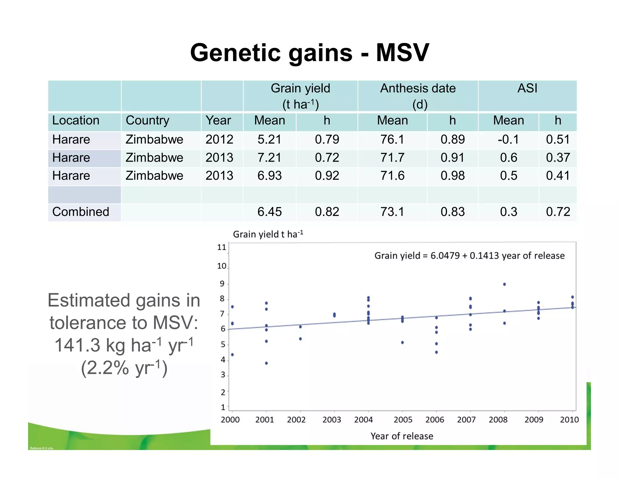 Genetic gains - MSV
Grain yield
(t ha-1)
Anthesis date
(d)
ASI
Location Country Year Mean h Mean h Mean h
Harare Zimbabwe 2012 5.21 0.79 76.1 0.89 -0.1 0.51
Harare Zimbabwe 2013 7.21 0.72 71.7 0.91 0.6 0.37
Harare Zimbabwe 2013 6.93 0.92 71.6 0.98 0.5 0.41
Combined 6.45 0.82 73.1 0.83 0.3 0.72
Estimated gains in
tolerance to MSV:
141.3 kg ha-1 yr-1
(2.2% yr-1)
 