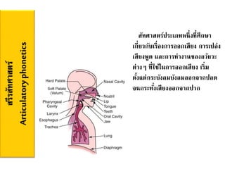 สรีรสัทศาสตร์
Articulatoryphonetics
สัทศาสตร์ประเภทหนึ่งที่ศึกษา
เกี่ยวกับเรื่องการออกเสียง การเปล่ง
เสียงพูด และการทางานของอวัยวะ
ต่างๆ ที่ใช้ในการออกเสียง เริ่ม
ตั้งแต่กระบังลมบังลมออกจากปอด
จนกระทั่งเสียงออกจากปาก
 