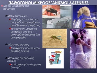 Τρόποι μετάδοσης της
ασθένειας
Μέσω των ζώων
Οι μύγες τα ποντίκια κ.α.
μπορούν να μεταφέρουν
μικρόβια στην τροφή μας
Το κουνούπι μπορεί να
μεταφέρει από ένα
μολυσμένο άτομο σε ένα
υγιή μικρόβια
Μέσω του αίματος
Μεταγγίσεις μολυσμένου
αίματος σε υγιή
Μέσω της σεξουαλικής
επαφής
Από μολυσμένο άτομο σε
ένα υγιή
ΠΑΘΟΓΟΝΟΙ ΜΙΚΡΟΟΡΓΑΝΙΣΜΟΙ &ΑΣΕΝΕΙΕΣ
 