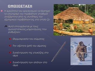 Η ικανότητα του οργανισμού να διατηρείΗ ικανότητα του οργανισμού να διατηρεί
το εσωτερικό του περιβάλλον σταθερότο εσωτερικό του περιβάλλον σταθερό
ανεξάρτητα από τις συνθήκες τουανεξάρτητα από τις συνθήκες του
εξωτερικού περιβάλλοντος στο οποίο ζειεξωτερικού περιβάλλοντος στο οποίο ζει
Αυτό επιτυγχάνεται με τουςΑυτό επιτυγχάνεται με τους
ομοιοστατικούς μηχανισμούς πουομοιοστατικούς μηχανισμούς που
ρυθμίζουνρυθμίζουν::
Θερμοκρασία του σώματοςΘερμοκρασία του σώματος
Την οξύτητα (Την οξύτητα (pHpH) του αίματος) του αίματος
Συγκέντρωση της γλυκόζης στοΣυγκέντρωση της γλυκόζης στο
αίμααίμα
Συγκέντρωση των αλάτων στοΣυγκέντρωση των αλάτων στο
αίμααίμα
 