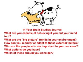 In Your Brain Studies Journal
What are you capable of achieving if you put your mind
to it?
What are the "big picture" trends in your environment?
How can you monitor or adapt to these external factors?
Who are the people who are important to your success?
What options do you have?
Which of these should you consider?
 