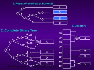File Structures SNU-OOPSLA Lab. 19
A
B
C
D
0
1 0
1
0
1
0
1
0
10
1 0
1
0
1 0
1
0
1
A
B
D
C
000
001
010
011
A
100
101
110
111
C
B
D
1. Result of overflow of bucket B
3. Directory
2. Complete Binary Tree
 