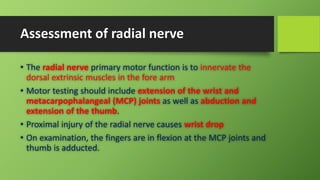 Assessment of radial nerve
• The radial nerve primary motor function is to innervate the
dorsal extrinsic muscles in the fore arm
• Motor testing should include extension of the wrist and
metacarpophalangeal (MCP) joints as well as abduction and
extension of the thumb.
• Proximal injury of the radial nerve causes wrist drop
• On examination, the fingers are in flexion at the MCP joints and
thumb is adducted.
 