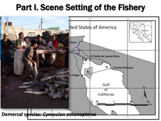 Part I. Cont.
SAGARPA 2012
Gear: Monofilament Gillnets
 