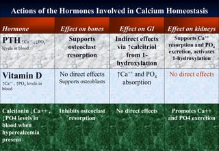 4. calcium phosphate magnesium | PPTX