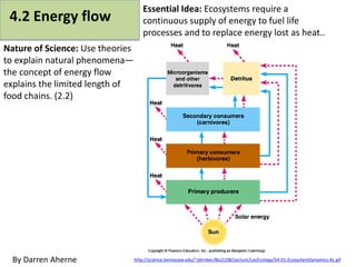 4.2 Energy flow
Nature of Science: Use theories
to explain natural phenomena—
the concept of energy flow
explains the limited length of
food chains. (2.2)
http://science.kennesaw.edu/~jdirnber/Bio2108/Lecture/LecEcology/54-01-EcosystemDynamics-AL.gifBy Darren Aherne
Essential Idea: Ecosystems require a
continuous supply of energy to fuel life
processes and to replace energy lost as heat..
 