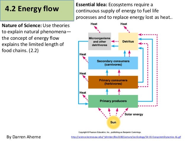 energy flow