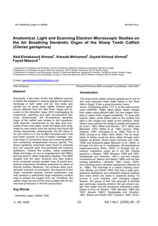 J. vet. anat. Vol 1 No1, (2008) 29 - 3729
Air breathing organ in catfish Ahmed et al.
Anatomical, Light and Scanning Electron Microscopic Studies on
the Air Breathing Dendretic Organ of the Sharp Tooth Catfish
(Clarias gariepinus)
Abd-Elmaksoud Ahmed1
, Kassab Mohamed2
, Sayed-Ahmed Ahmed3,
Fayed Masoud 4
1 Department of Cytology and Histology, Faculty of Veterinary Medicine, Mansoura University, Mansoura, Egypt
2 Department of Histology, faculty of veterinary medicine, Kafr El Sheikh University, Kafr El Sheikh, Egypt
3 Department of Anatomy and Embryology, Faculty of Veterinary Medicine, Alexandria University, Damanhur branch, Bostan, Egypt
4 Department of Anatomy and Embryology, Faculty of Veterinary Medicine, Kafr El Sheikh University, Kafr El Sheikh, Egypt
E-mail: kassabkassab2000@yahoo.com
___________________________________________________________________________
With 20 figures Received February 2008; accepted for publication April 2008
Abstract
Previously, it has been shown that different species
of fishes are adapted in varying degrees for gaseous
exchange in both water and air. Our study was
carried out on sharp tooth catfish (Clarias garie-
pinus) obtained from the Nile River, Egypt and fo-
cused on the dendretic organ (DO) investigating its
anatomical, scanning and light microscopical fea-
tures. Anatomically, the air-breathing dendretic
organ of the catfish was located in the suprabran-
chial chamber caudodorsal to the gills and com-
posed of two main parts; small and large ones origi-
nated by main stems from the second and fourth gill
arches respectively. Histologically, the DO either in
its main stems or in the smaller branches and in the
end bulbs consists of core of elastic cartilage, vas-
cular layer of connective tissue and covering epithe-
lium containing intraepithelial mucous glands. The
blood capillaries (channels) were found to originate
from the vascular layer and penetrate the covering
epithelium. Toward the surface, these capillaries
dilate and bulge out due to engorgement with RBCs
forming what is called respiratory papillae. The SEM
showed that the stem divisions and their bulbus
ends contained double parallel rows of paired pro-
jections (respiratory lamellae) separated by areas of
smooth surface. Moreover, the surfaces were stud-
ded with microvilli. In conclusion, the structure of this
organ manifests profuse internal subdivision that
may produce a particularly large respiratory surface
area to extract the oxygen from air. Therefore, the
catfish might be one of the most suitable fish for the
intensive production in the fish aquaculture.
Key Words
Dendretic organ, Catfish, E/M
Introduction
The sharp tooth catfish (Clarias garipeinus) is one of
the most important fresh water fishes in the River
Nile in Egypt. It has a great economic impor
tance, contributing about 17.5 % of the total country
catch (GAFRD, 1996). Most fishes obtain oxygen
from water using efficient gills, but low oxygen solu-
bility in water limits oxygen availability. To cope with
hypoxic water, some fishes swim to the surface and
take in the oxygen-rich water at the interface, while
others have evolved the ability to breath atmospheric
air (Liem, 1967; Mittal and Munshi, 1971; Mittal and
Banerjee, 1974; Mittal et al. 1980; Suzuki, 1992;
Graham, 1997; Ishimatsu et al. 1998; Park et al.
2000; Zhang et al. 2000; Park, 2002). The air respi-
ration in fishes could be done either through swim
bladder as Bowfin (Amia calva) (Gervais and Tufts,
1998) and Arapaima gigas (Brauner et al., 2004), or
through the skin as in mudskipper (Periophthalmus
magnuspinnatus) (Park, 2002), or through the ac-
cessory respiratory organ as in cat fish (clarias
garipinus ) (Nawar, 1955; Moussa, 1956 and 1957;
Vandewalle and Chardon, 1991;), cat fish (clarias
mossambicus) (Maina and Maloiy 1986) and cat fish
(clarias batrachus ) (Munshi, 1961; Lewis, 1979).
and Climbing perch (Anabas testudineus) (Munshi et
al., 1986). The Clariidae is a bottom feeding omni-
vore (Bishai and Khalil 1997) that has a wide geo-
graphical distribution and inhabitant tropical swamps
and rivers which are liable to seasonal drying. To
survive in such habitats, with changing oxygen
tension, this group of fish has acquired a bimodal
gas exchange capacity wherein the gill extract oxy-
gen from water and the accessory respiratory organ
extract it from air (Nawar, 1955; Moussa, 1956 and
1957; Munshi 19961; Vandewalle and Chardon,
1991; Bishai and Khalil 1997; Graham, 1997; Chan-
 