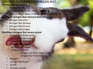 Ciri khas jaringan ikat :
• Adanya sel-sel,
• Adanya serabut atau serat
• Adanya bahan dasar (matrix) atau bahan antar sel.
Klasifikasi Jaringan Ikat menurut Bailey’s
• Jaringan ikat janin
• Jaringan ikat dewasa
• Jaringan ikat khusus
• Jaringan penyangga
Klasifikasi Jaringan Ikat secara umum
• Jaringan Ikat Embryonal
Jaringan Ikat Mesenkim
Jaringan Ikat Mukosa
• Jaringan Ikat Dewasa
Jaringan Ikat Longgar
Jaringan Ikat Padat
Jaringan Ikat Padat Tidak Teratur
Jaringan Ikat Padat Teratur
• Kolagen
• Jaringan Retikuler
• Elastik
• Jaringan Lemak
CIRI DAN KLASIFIKASI JARINGAN IKAT
 