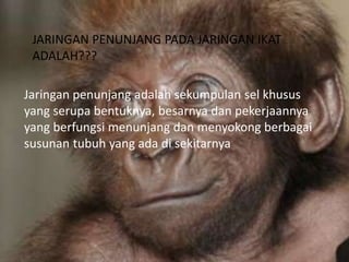 JARINGAN PENUNJANG PADA JARINGAN IKAT
ADALAH???
Jaringan penunjang adalah sekumpulan sel khusus
yang serupa bentuknya, besarnya dan pekerjaannya
yang berfungsi menunjang dan menyokong berbagai
susunan tubuh yang ada di sekitarnya
 