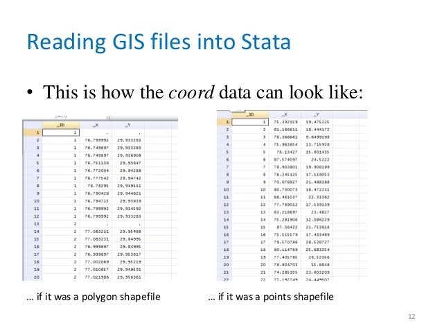 Do file stata