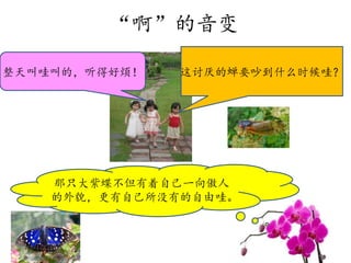 “啊”的音变
这讨厌的蝉要吵到什么时候哇？整天叫哇叫的，听得好烦！
那只大紫蝶不但有着自己一向傲人
的外貌，更有自己所没有的自由哇。
 