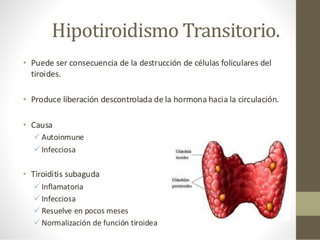 Que Es El Hipertiroidismo
