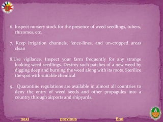 next previous End
6. Inspect nursery stock for the presence of weed seedlings, tubers,
rhizomes, etc.
7. Keep irrigation channels, fence-lines, and un-cropped areas
clean
8.Use vigilance. Inspect your farm frequently for any strange
looking weed seedlings. Destroy such patches of a new weed by
digging deep and burning the weed along with its roots. Sterilize
the spot with suitable chemical
9. Quarantine regulations are available in almost all countries to
deny the entry of weed seeds and other propagules into a
country through airports and shipyards.
 