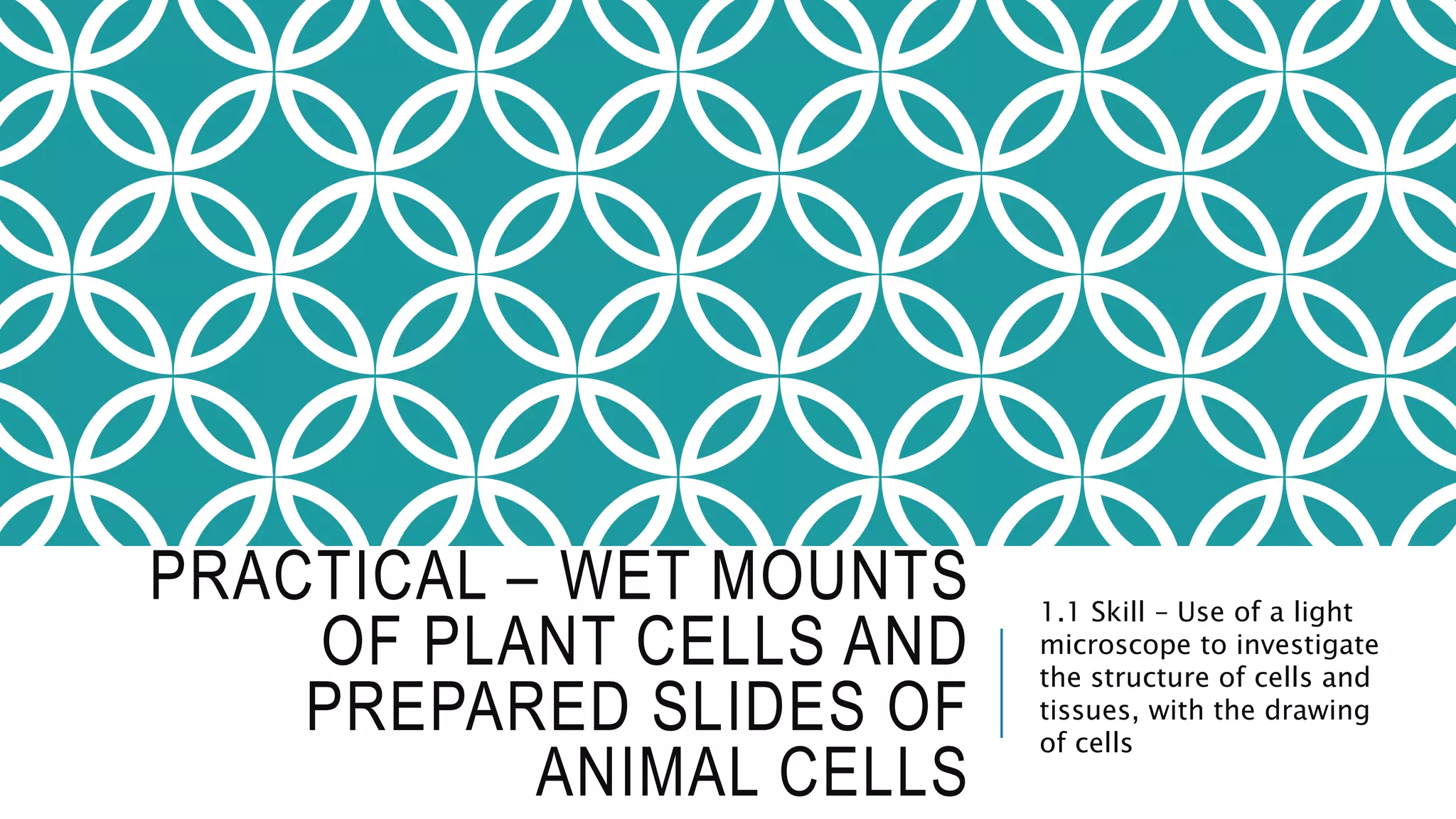 PRACTICAL – WET MOUNTS
OF PLANT CELLS AND
PREPARED SLIDES OF
ANIMAL CELLS
1.1 Skill – Use of a light
microscope to investigate
the structure of cells and
tissues, with the drawing
of cells
 