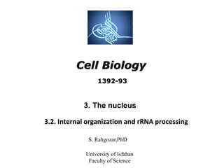 Cell Biology
S. Rahgozar,PhD
University of Isfahan
Faculty of Science
3. The nucleus
3.2. Internal organization and rRNA processing
1392-93
 