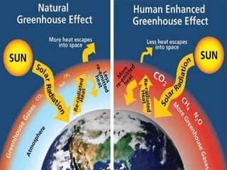 4 Greenhouse Effect 4 Greenhouse Effect