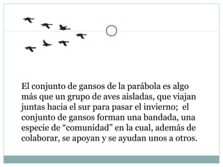 El conjunto de gansos de la parábola es algo
más que un grupo de aves aisladas, que viajan
juntas hacia el sur para pasar el invierno; el
conjunto de gansos forman una bandada, una
especie de “comunidad” en la cual, además de
colaborar, se apoyan y se ayudan unos a otros.
 
