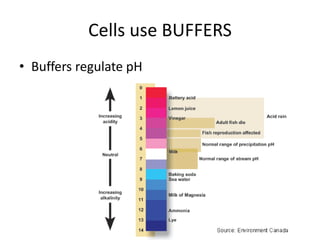 Cells use BUFFERS
• Buffers regulate pH
 