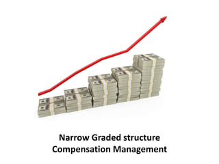 Narrow Graded structure
Compensation Management
 