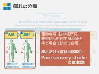 痺れの分類
痺れ  (感覚障害)
痺れの分布,病歴,⾝身体所⾒見見から障害部位を考える.６分類!
神経絞扼
(単神経)
末梢神経
対側半⾝身や
感覚野の領領域
障害側顔⾯面と
対側頸部以下
障害レベル
以下
デルマトームに
⼀一致
⼤大脳 脳幹 脊髄 神経根
外側脊髄視床路路
21 3 4 5 6
限局性障害 ⼿手袋靴下型
運動⿇麻痺,  脳神経所⾒見見,
典型的な対側半⾝身⿇麻痺を
伴う場合は診断は容易易…
痺れだけが症状の脳卒中
Pure sensory stroke
 　 　 　 　 　 　 　 　 　      に要注意!!
 