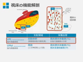 視床の
冠状断
視床の機能解剖 VPL
VPM
⽀支配領領域 栄養⾎血管
VPL Ventral posterolateral
後外側腹側核
四肢体幹
(脊髄視床路路,内側⽑毛帯)
視床膝状体動脈(TG)
※後⼤大脳動脈の分枝
VPM Ventral posteromedial
後内側腹側核
顔⾯面
(三叉神経第2上⾏行行路路)
視床膝状体動脈(TG)
視床穿通枝動脈(TP)
VPL
VPM
四肢体幹
顔⾯面
 
