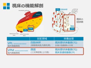 視床の
冠状断
視床の機能解剖 VPL
VPM
⽀支配領領域 栄養⾎血管
VPL Ventral posterolateral
後外側腹側核
四肢体幹
(脊髄視床路路,内側⽑毛帯)
視床膝状体動脈(TG)
※後⼤大脳動脈の分枝
VPM Ventral posteromedial
後内側腹側核
顔⾯面
(三叉神経第2上⾏行行路路)
視床膝状体動脈(TG)
視床穿通枝動脈(TP)
VPL
VPM
四肢体幹
顔⾯面
 