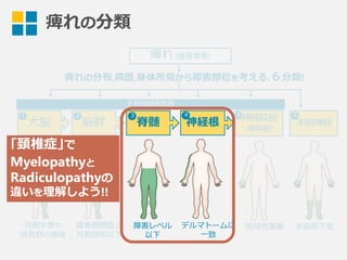 痺れの分類
痺れ  (感覚障害)
痺れの分布,病歴,⾝身体所⾒見見から障害部位を考える.６分類!
神経絞扼
(単神経)
末梢神経
対側半⾝身や
感覚野の領領域
障害側顔⾯面と
対側頸部以下
障害レベル
以下
デルマトームに
⼀一致
⼤大脳 脳幹 脊髄 神経根
外側脊髄視床路路
21 3 4 5 6
限局性障害 ⼿手袋靴下型
｢頚椎症｣で
Myelopathyと
Radiculopathyの
違いを理理解しよう!!
 